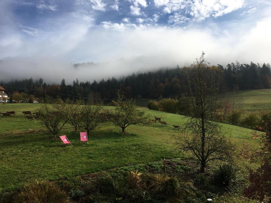 Schwarzwild - Ferienwohnung Und Ferienzimmer Baiersbronn Exterior foto