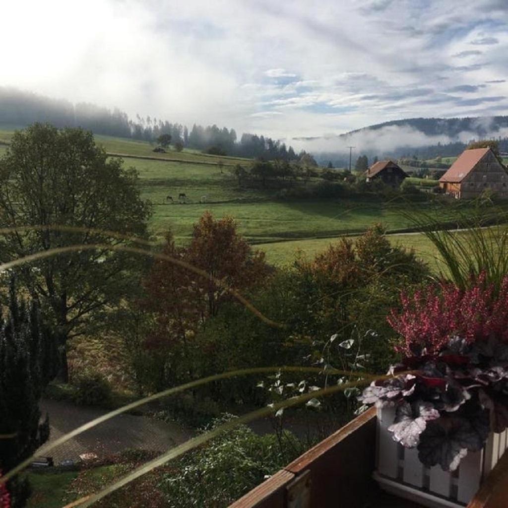 Schwarzwild - Ferienwohnung Und Ferienzimmer Baiersbronn Exterior foto