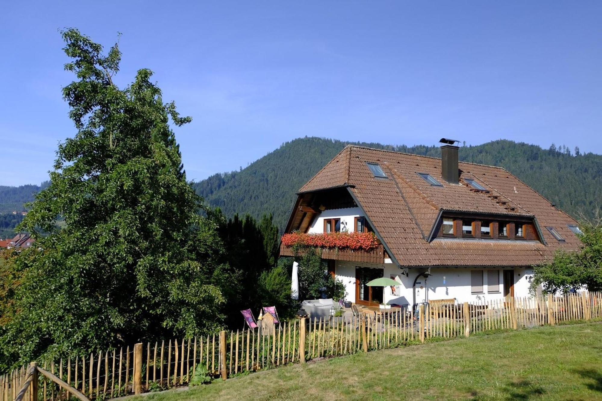 Schwarzwild - Ferienwohnung Und Ferienzimmer Baiersbronn Exterior foto